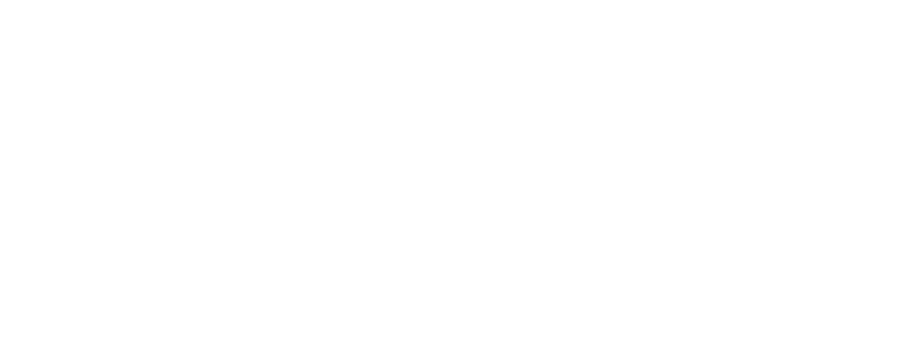 Shiels Group